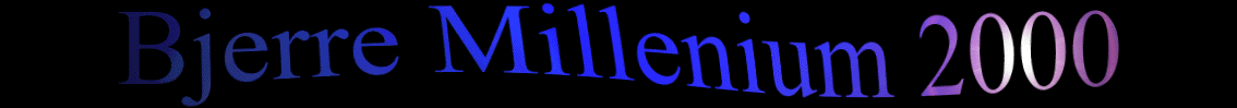 BM2000.gif (23883 bytes)